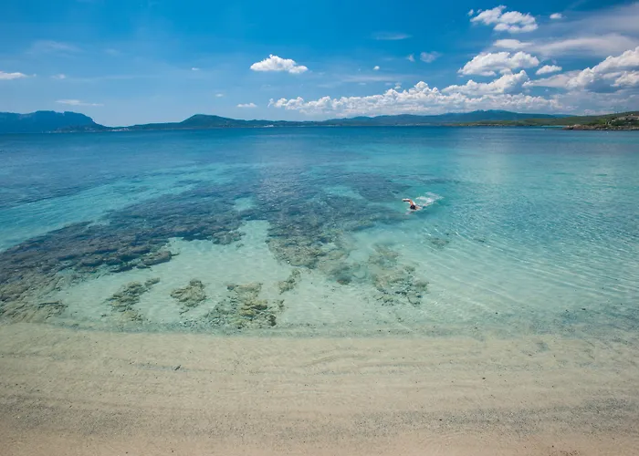 鹈鹕海滩度假村&spa度假酒店 - 仅供成人入住 奧爾比亞